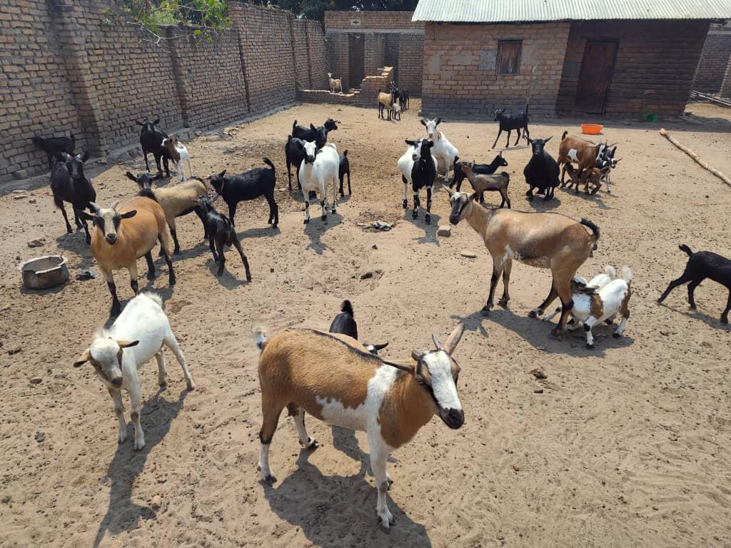 L'autonomisation au cœur de nos actions : Cap sur nos AGR !